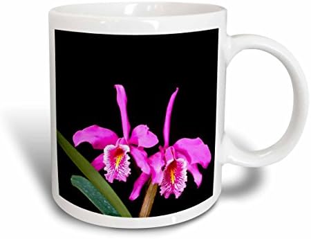 3dRose mug_62502_1 Siyah Seramik Kupa üzerine Sıcak Pembe Orkide, 11 Ons