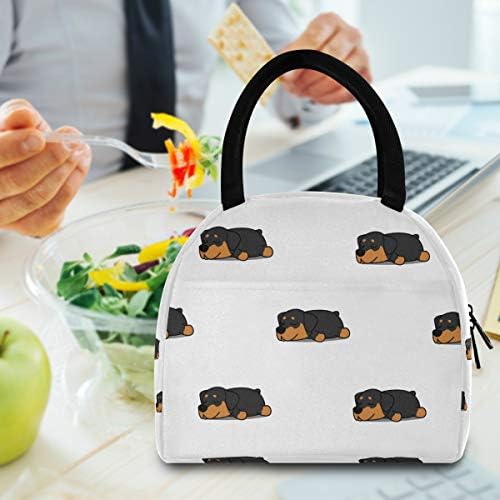 Kadınlar için yalıtımlı Öğle Yemeği Çantası - Sevimli Rottweiler Köpek Desen Kullanımlık öğle yemeği kutusu Soğutucu