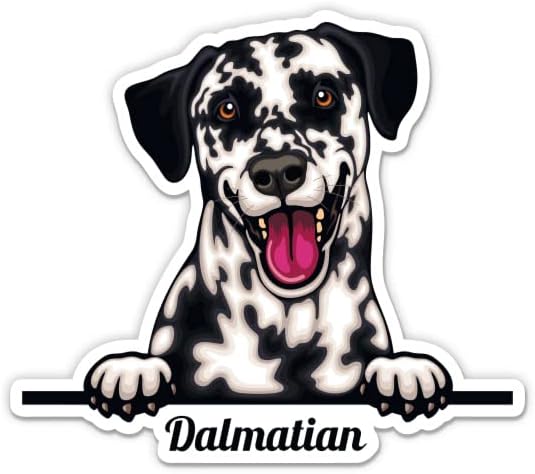 Dalmaçyalı Köpek Etiketi-3 laptop etiketi - Araba, Telefon, Su Şişesi için Su Geçirmez Vinil-Dalmaçyalı Çıkartma