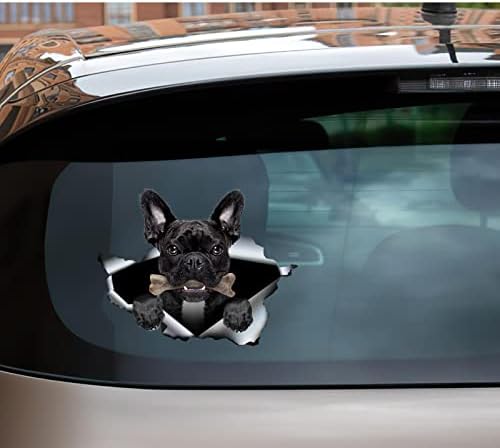 Kamelya Baskı Fransız Bulldog Sticker Frenchie Araba Çıkartması Eğlenceli 3D Yarış Çıkartmaları Çocuklar için Sevimli