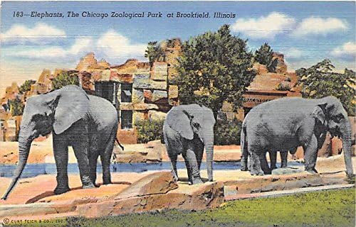 Brookfield, Illinois Kartpostalı