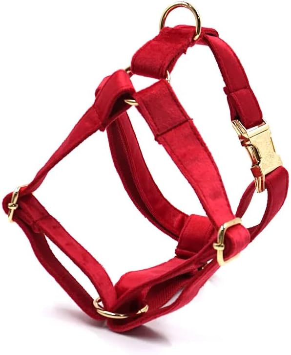 Meyufave Pet Kedi Asil Kırmızı Yaka + çekme halatı + göğüs kemeri Kırmızı Lüks Set (L Şeklinde Özelleştirilmiş)